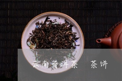 云南普洱茶 茶饼/2023041279582